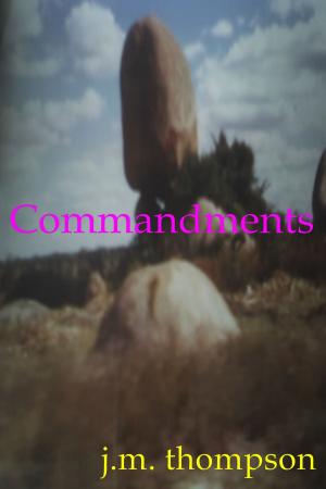 Book cover of Commandments