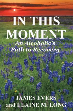 Cover of the book In This Moment: An Alcoholic's Path To Recovery by Steve R.