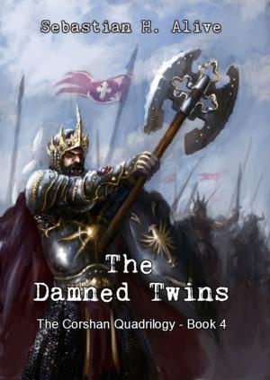 Cover of the book The Damned Twins by Meghann McVey