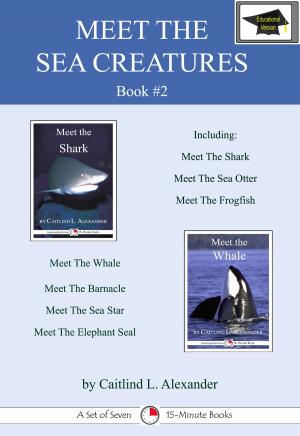 Cover of the book Meet the Sea Creatures #2: A Set of Seven 15-Minute Books for Early Readers, Educational Version by Jeannie Meekins