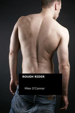 bigCover of the book Rough Rider by 