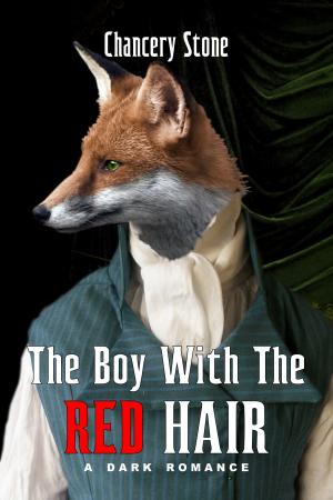 Cover of the book The Boy With The Red Hair by Vince Rockston