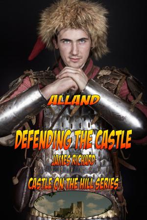 Cover of the book Defending the Castle by Andrew Ashling