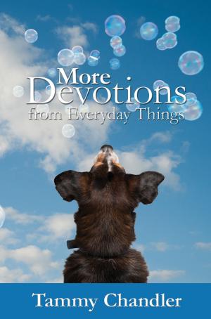 Cover of the book More Devotions from Everyday Things by Aaron Shaver