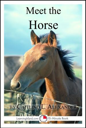 Cover of the book Meet the Horse: A 15-Minute Book for Early Readers by Judith Janda Presnall