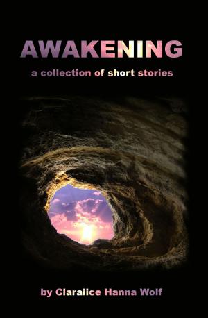 Cover of the book Awakening by Juliana Stone