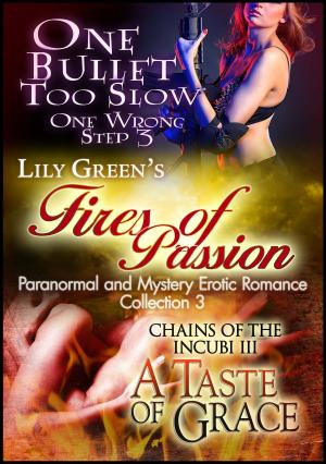 bigCover of the book Fires of Passion 3: Paranormal and Mystery Erotic Romance Collection by 