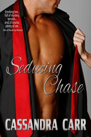 Cover of the book Seducing Chase by Jill Barnett