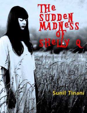 Cover of the book The Sudden Madness of Shelly Q by Antony J. Stanton