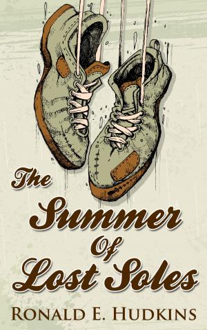 Cover of the book The Summer of Lost Soles by Mishka Zakharin