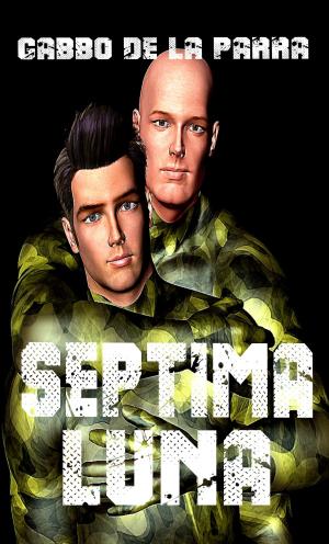 Cover of the book Septima Luna by R. Stone