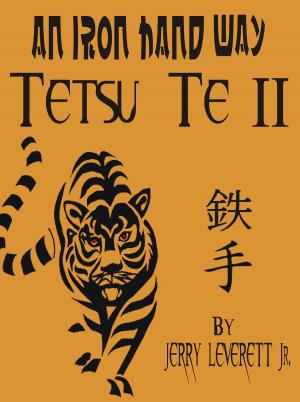 Cover of An Iron Hand Way: Tetsu Te II