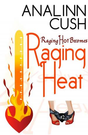 Cover of the book Raging Heat (The Raging Hot Series #2) by Joel Bowers