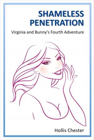 Book cover of Shameless Penetration: Virginia and Bunny’s Fourth Adventure