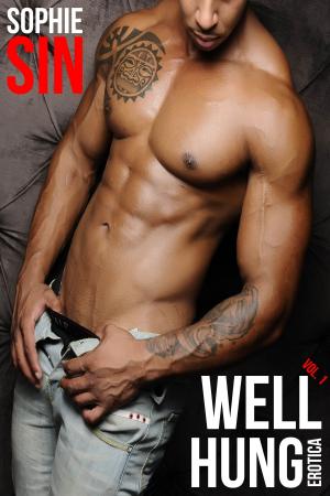 bigCover of the book Well Hung Erotica Vol. 1 by 