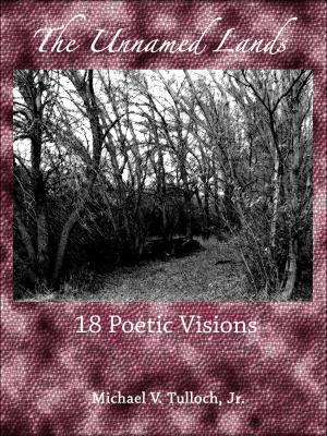 Book cover of The Unnamed Lands: 18 Poetic Visions