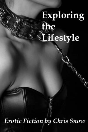 Cover of the book Exploring the Lifestyle by Suzy Ayers