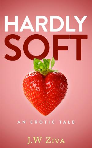 Cover of the book Hardly Soft by Isa Adam