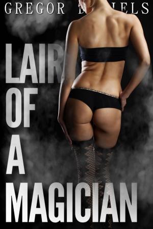 Cover of Lair of a Magician