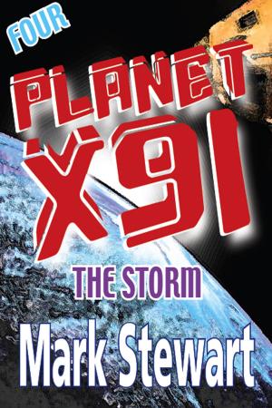 Cover of Planet X91 The Storm