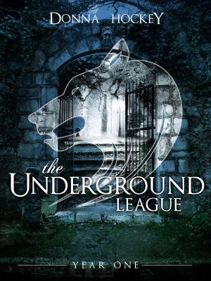 Cover of the book The Underground League: Year One by Carl Hiltz