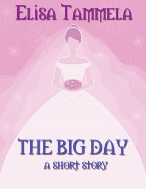 Cover of the book The Big Day: a short story by J. Nicole Parker