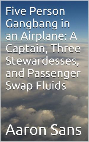Cover of the book Five Person Gangbang in an Airplane: A Captain, Three Stewardesses, and Passenger Swap Fluids by J.S. Lee