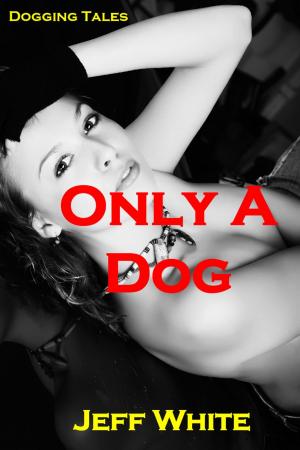 Cover of the book Only a Dog by Heather Michaels