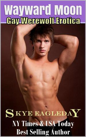 Cover of the book Wayward Moon (Gay Werewolf Romance) by Terri Brisbin