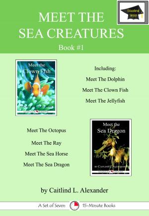 Cover of the book Meet The Sea Creatures #1: A Set of Seven 15-Minute Books, Educational Version by William Sabin