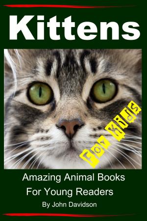 Cover of the book Kittens: For Kids - Amazing Animal Books For Young Readers by Dueep Jyot Singh, John Davidson
