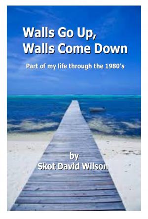 Cover of the book Walls Go Up, Walls Come Down by Lisa Southard