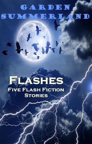 Cover of the book Flashes: Five Flash Fiction Stories by Helen Vivienne Fletcher