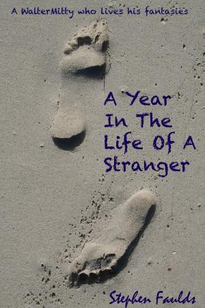 Book cover of A Year in the Life of a Stranger
