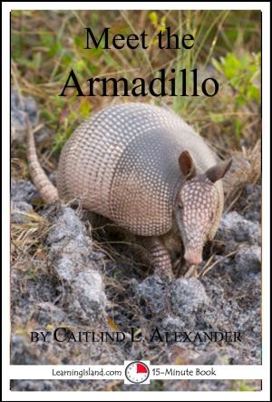 Cover of the book Meet the Armadillo: A 15-Minute Book for Early Readers by Caitlind L. Alexander