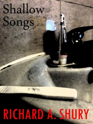 Book cover of Shallow Songs