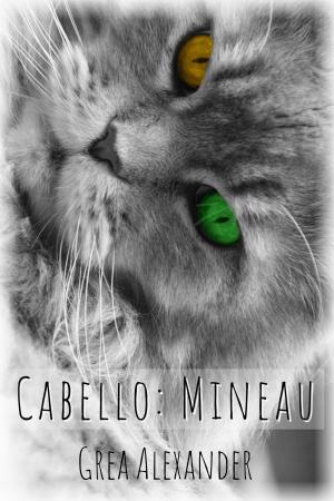 Book cover of Cabello: Mineau