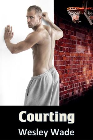 Cover of the book Courting by Rose Simons
