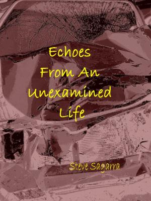 Cover of Echoes From An Unexamined Life