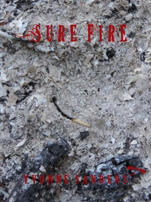 bigCover of the book Sure Fire by 
