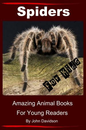 Cover of the book Spiders for Kids: Amazing Animal Books for Young Readers by Paolo Lopez de Leon, John Davidson