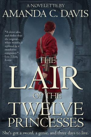 Book cover of The Lair of the Twelve Princesses