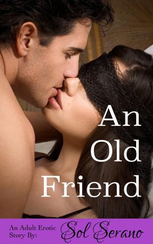 Cover of the book An Old Friend by Vanessa Wu