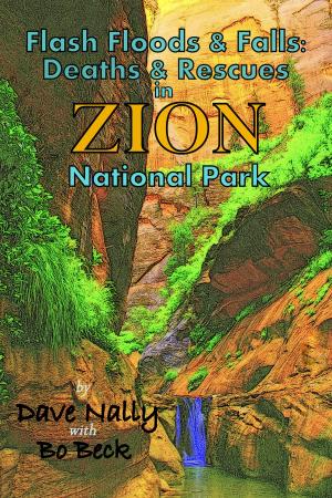 Cover of the book Flash Floods & Falls: Deaths & Rescues in Zion National Park by Candy B. Harrington