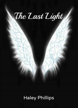 Cover of the book The Last Light by Kyle M. Perkins