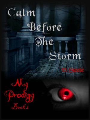 Book cover of Calm Before The Storm