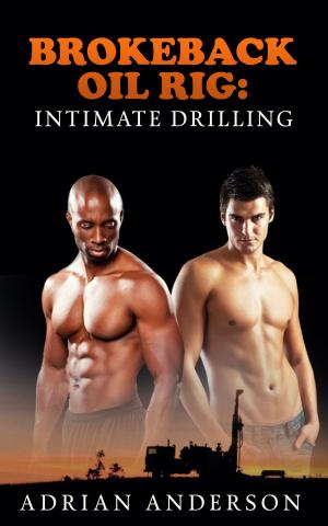 Book cover of Brokeback Oil Rig: Intimate Drilling