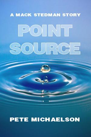 Cover of the book Point Source (The First Mack Stedman Story) by Terri Talley Venters