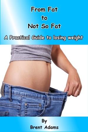 Book cover of From Fat to Not So Fat, A Practical Guide to Losing Weight