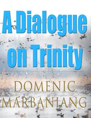 Cover of the book A Dialogue on Trinity by William Kritlow